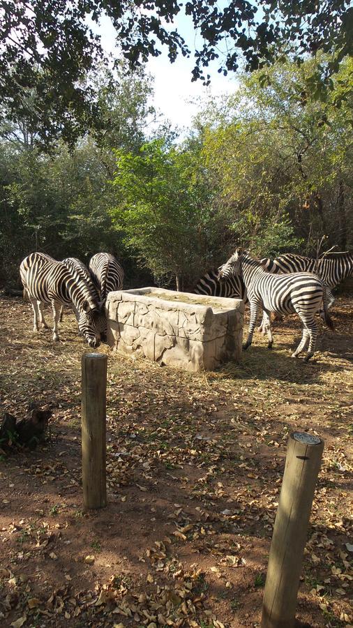 Beyond The Boma Boutique Guesthouse Marloth Park Exterior photo