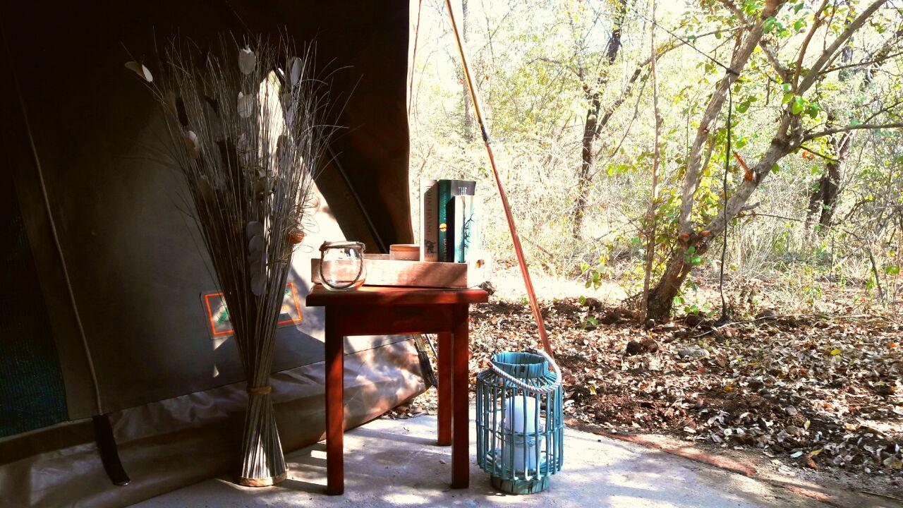 Beyond The Boma Boutique Guesthouse Marloth Park Exterior photo